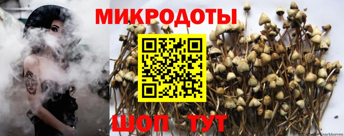 Галлюциногенные грибы прущие грибы Ковров